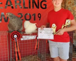 Best on Show wenner: Dylan v Rensburg