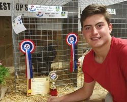 Dylan van Rensburg: Best Heavy Soft Feather Large and Best on Show with his Brahma pullet